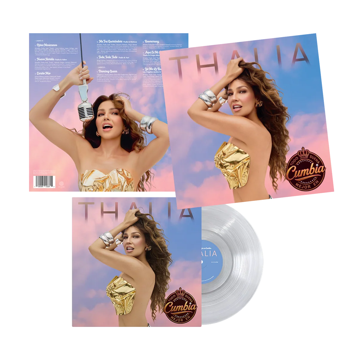 TODO SUENA MEJOR EN CUMBIA - Mystery Color Vinyl LP (Autographed - D2C Exclusive) - Image 4